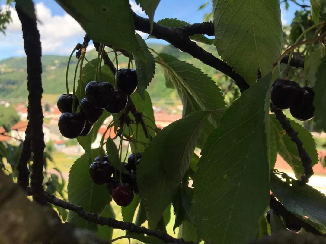 Appartamento La montagne La Bresse Esterno foto