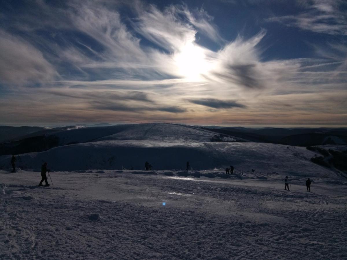 Appartamento La montagne La Bresse Esterno foto